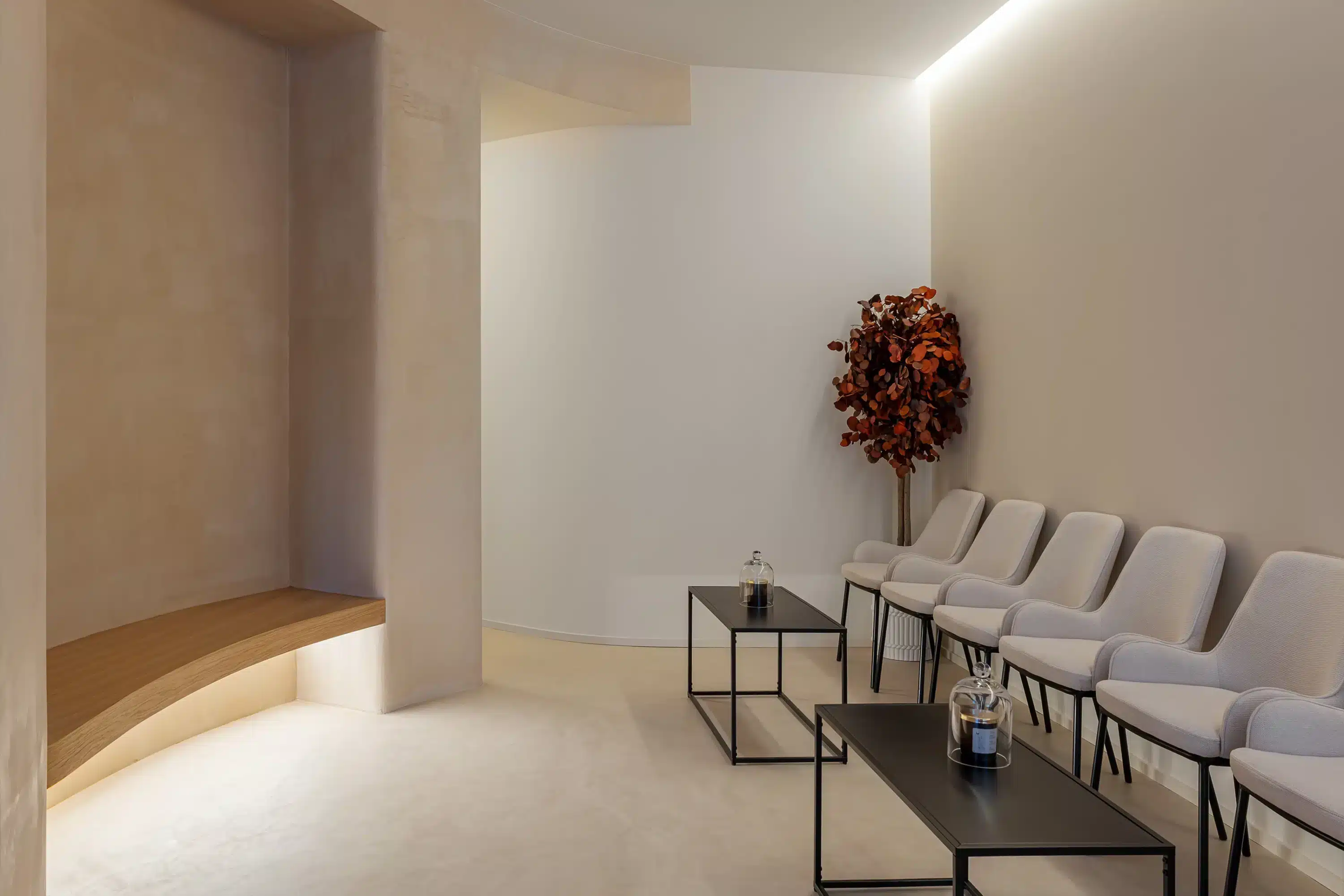 265A6131 HDR 1 Copia svg+xml;charset=utf